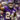 Minnesota Vikings Safety Camryn Bynum Shares His Gameplay Workout