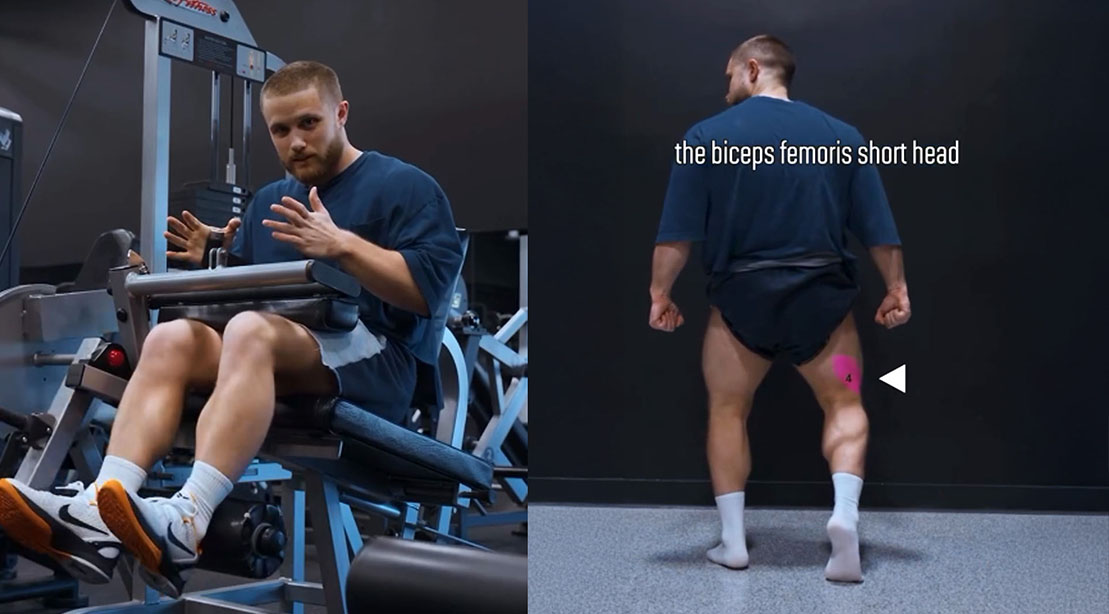 Target Your Leg Muscles for Hamstring Development Target Your Leg Muscles for Hamstring Development
