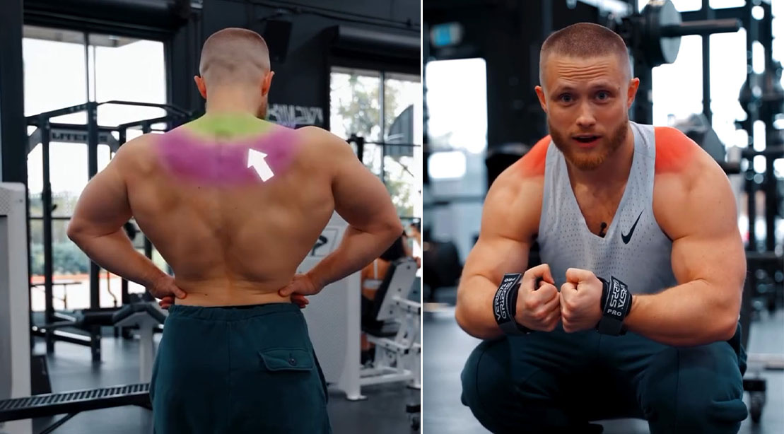 Bigger, Stronger Shoulders Bigger, Stronger Shoulders